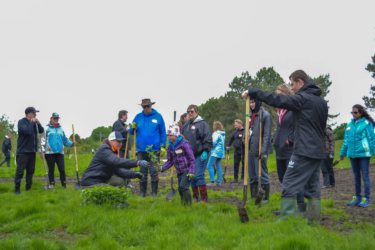Making Waves in Woodstock: 400 Aquatic Plants